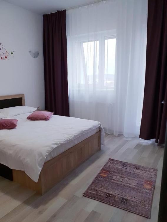 Friendly Rentals Vivamus Braşov Eksteriør bilde